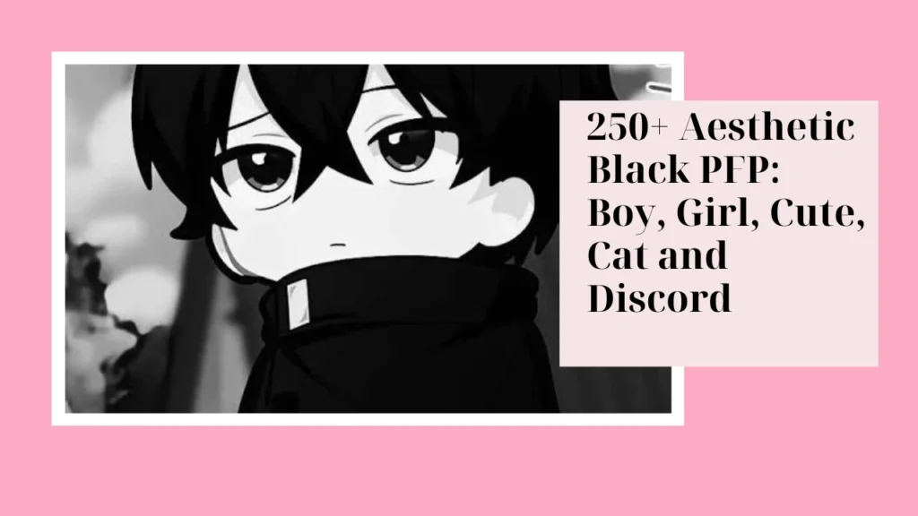 Aesthetic Black PFP