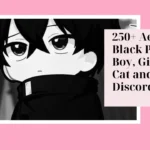 Aesthetic Black PFP