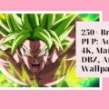 Broly PFP