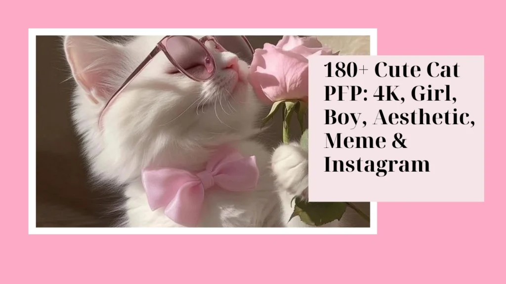 Cute Cat PFP