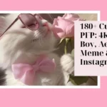 Cute Cat PFP
