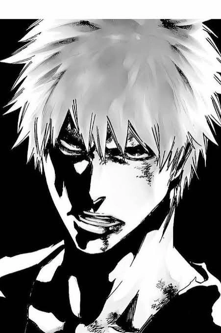 Ichigo PFP