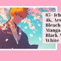 Ichigo PFP