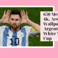 Messi PFP