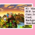 Minecraft PFP