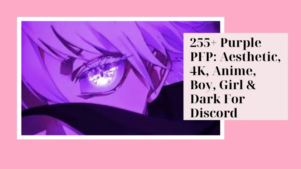 Purple PFP