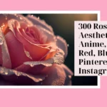 Rose PFP