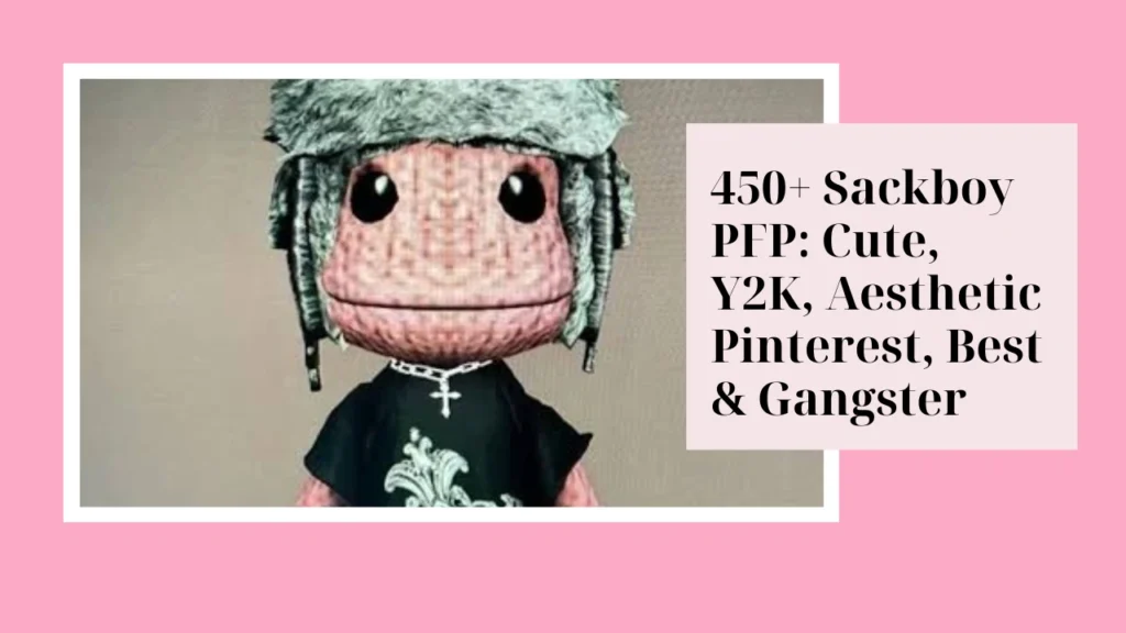 Sackboy PFP
