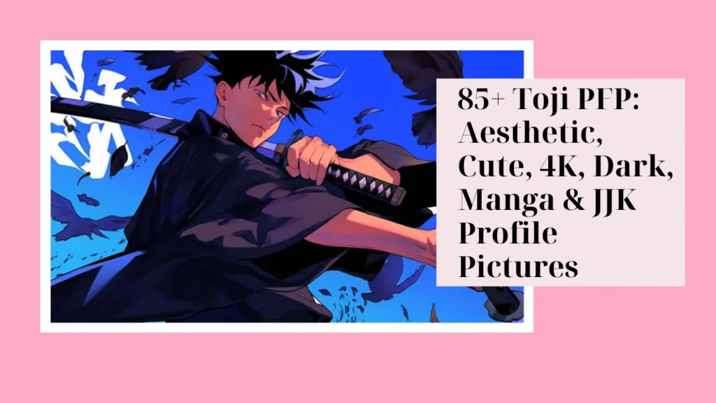 Toji PFP