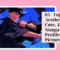 Toji PFP