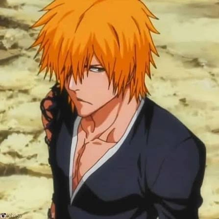 Ichigo PFP