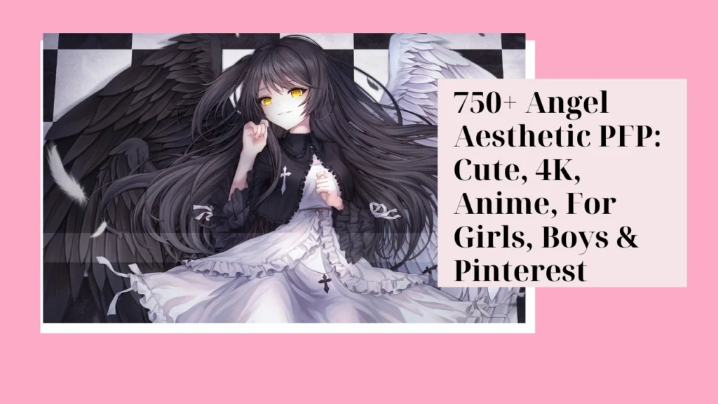 Angel Aesthetic PFP