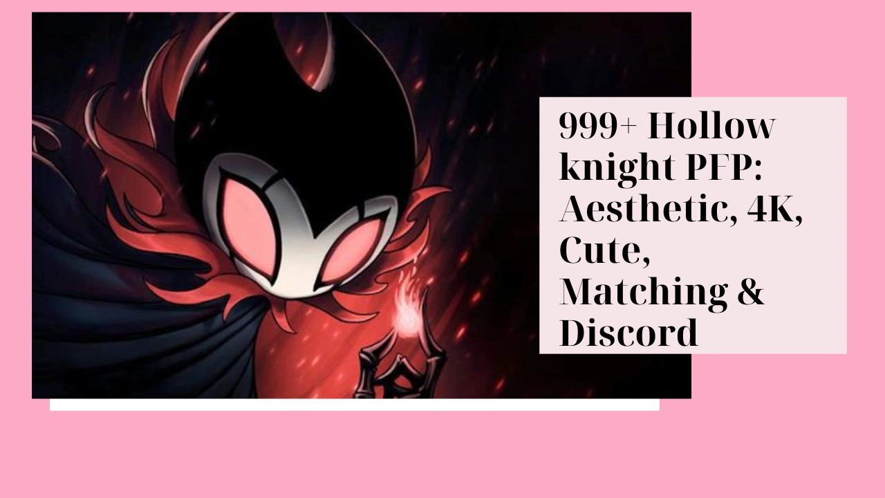 Hollow knight PFP