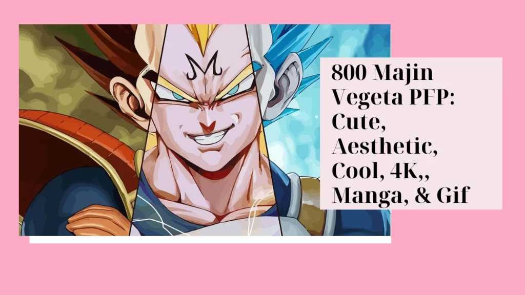 Majin Vegeta PFP