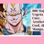 Majin Vegeta PFP
