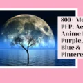 800+ Moon PFP: Aesthetic, Anime Dark, Purple, Cute, Blue & Pinterest