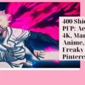 Shidou PFP